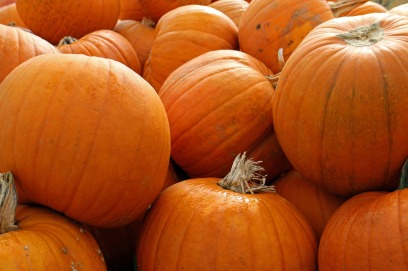 pumpkins-469577_1280